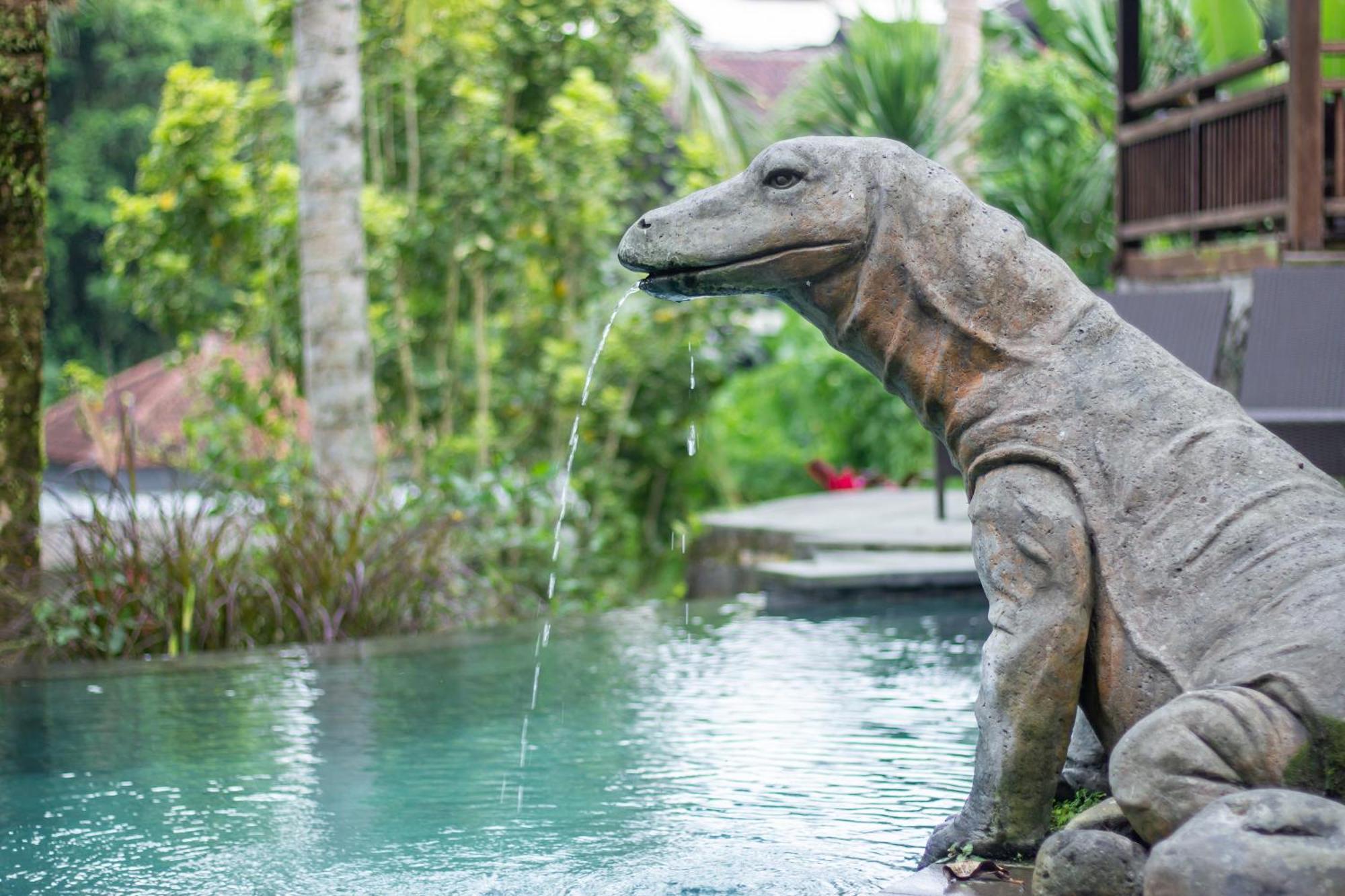 Pondok Mekar Villas Ubud Buitenkant foto